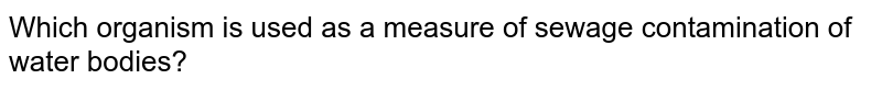 Which organism is used as a measure of sewage contamination of water bodies?