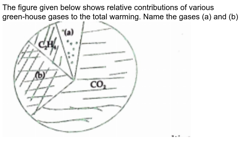The figure given below shows relative contributions of various green-house gases to the total warming. Name the gases (a) and (b)