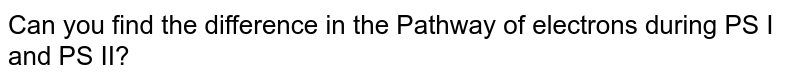 Can you find the difference in the Pathway of electrons during PS I and PS II?
