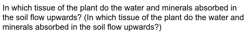 In which tissue of the plant do the water and minerals absorbed in the soil flow upwards? (In which tissue of the plant do the water and minerals absorbed in the soil flow upwards?)