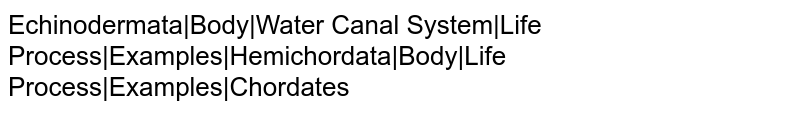 Echinodermata|Body|Water Canal System|Life Process|Examples|Hemichordata|Body|Life Process|Examples|Chordates