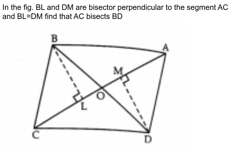 In the fig. BL and DM are bisector perpendicular to the segment AC and BL=DM find that AC bisects BD