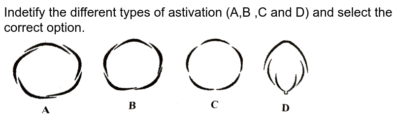 Identify the different types of aestivation (A,B ,C and D) and select the correct option.