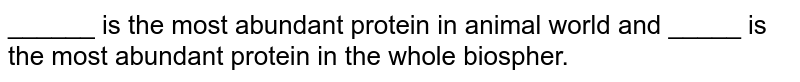 ______ is the most abundant protein in animal world and _____ is the most abundant protein in the whole biosphere.