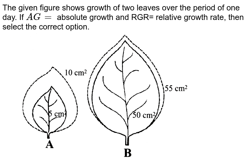 AG "for leaf" A,RGR "for leaf" A,AG "for leaf" B, RGr "for leaf" B ),(1, 1, 2, 2)}`