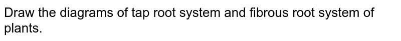 Draw the diagrams of tap root system and fibrous root system of plants.