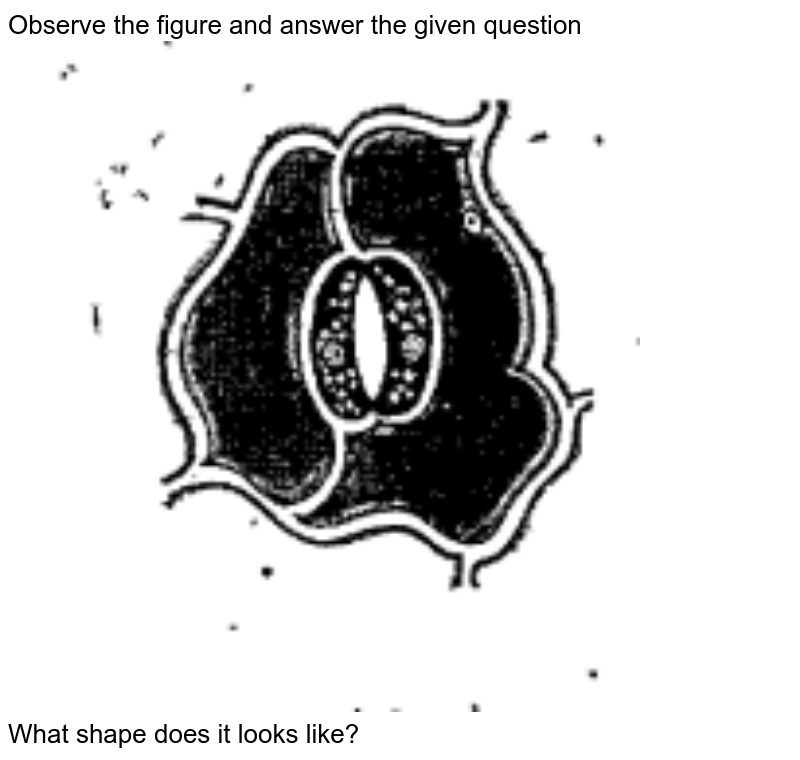 Observe the figure and answer the given question <br> <img src="https://doubtnut-static.s.llnwi.net/static/physics_images/SRP_GSC_0VI_C02_E07_033_Q01.png" width="80%"><br> What shape does it looks like?