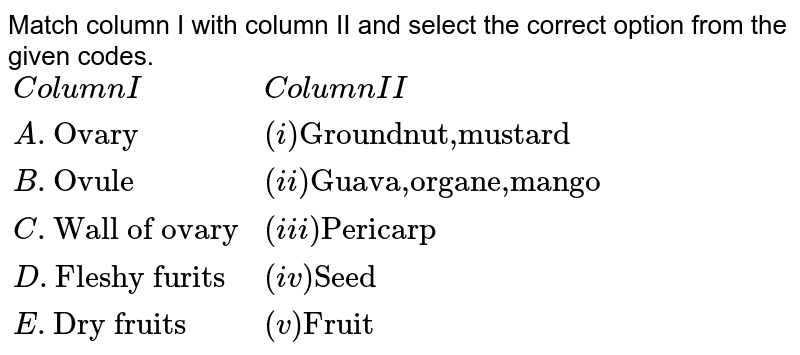 Match column I with column II and select the correct option from the given codes. {:(Column I,Column II),(A."Ovary",(i)"Groundnut,mustard"),(B."Ovule",(ii)"Guava,organe,mango"),(C."Wall of ovary",(iii)"Pericarp"),(D."Fleshy furits",(iv)"Seed"),(E."Dry fruits",(v)"Fruit"):}