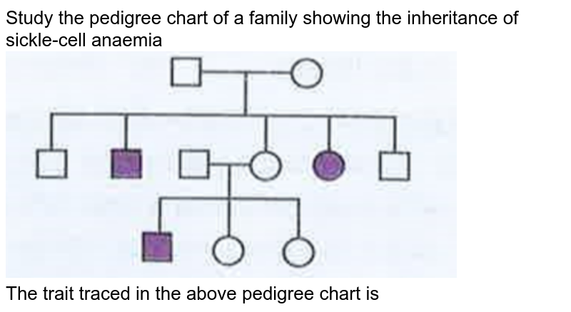 Study the pedigree chart given below what does it show?A Inheritan