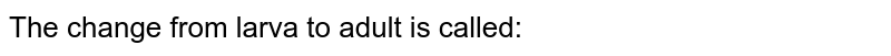 The change from larva to adult is called: