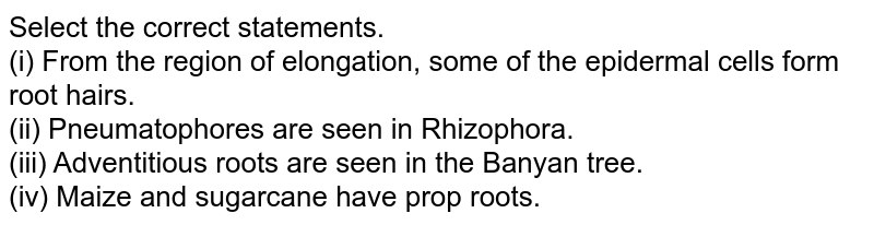 Select the correct statements. (i) From the region of elongation, some of the epidermal cells form root hairs. (ii) Pneumatophores are seen in Rhizophora. (iii) Adventitious roots are seen in the Banyan tree. (iv) Maize and sugarcane have prop roots.