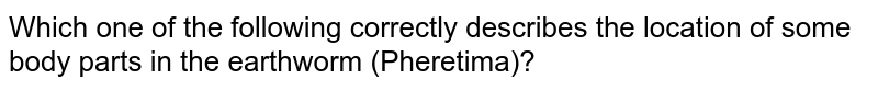 Which one of the following correctly describes the location of some body parts in the earthworm (Pheretima)?