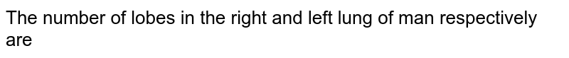 The number of lobes in the right and left lung of man respectively are