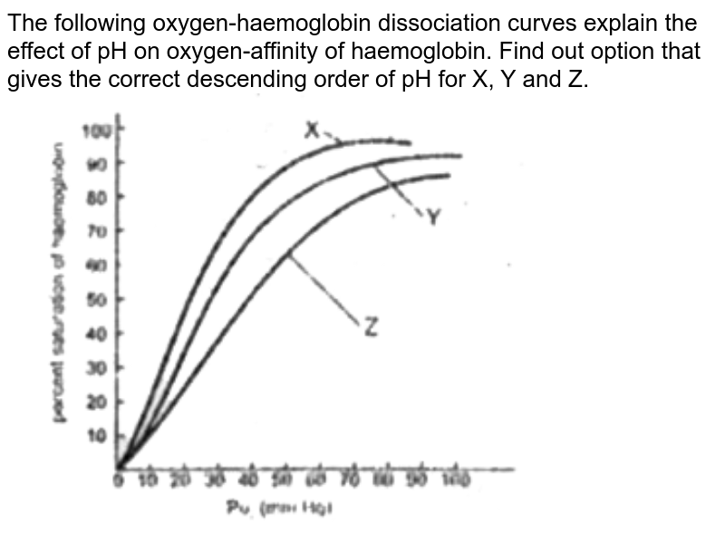 The following oxygen-haemoglobin dissociation curves explain the effect of pH on oxygen-affinity of haemoglobin. Find out option that gives the correct descending order of pH for X, Y and Z.