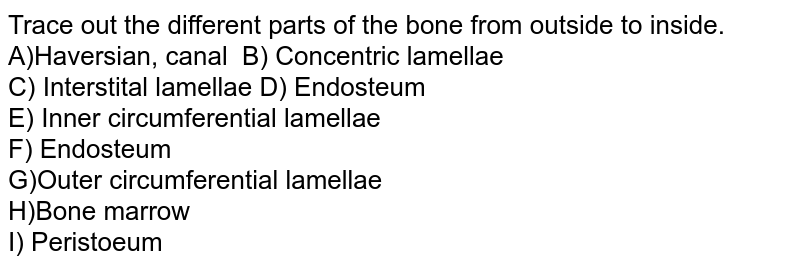 Trace out the different parts of the bone from outside to inside. A)Haversian, canal B) Concentric lamellae C) Interstital lamellae D) Endosteum E) Inner circumferential lamellae F) Endosteum G)Outer circumferential lamellae H)Bone marrow I) Peristoeum