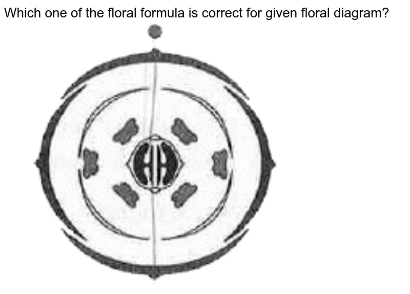 Which one of the floral formula is correct for given floral diagram?