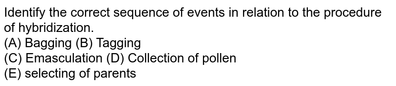 Identify the correct sequence of events in relation to the procedure of hybridization. (A) Bagging (B) Tagging (C) Emasculation (D) Collection of pollen (E) selecting of parents