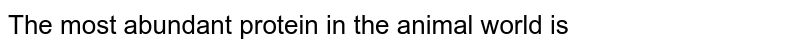 The most abundant protein in the animal world is