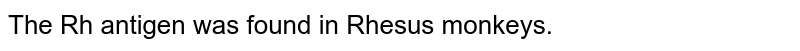 The Rh antigen was found in Rhesus monkeys.