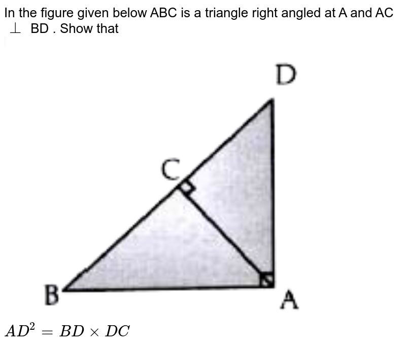 In the figure given below ABC is a triangle right angled at A and AC bot BD . Show that AD^(2) = BD xx DC