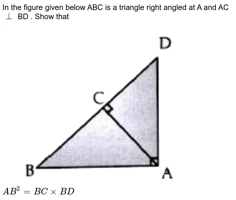 In the figure given below ABC is a triangle right angled at A and AC bot BD . Show that AB^(2) = BC xx BD