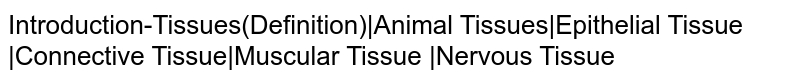 Introduction-Tissues(Definition)|Animal Tissues|Epithelial Tissue |Connective Tissue|Muscular Tissue |Nervous Tissue