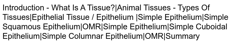 Introduction - What Is A Tissue?|Animal Tissues - Types Of Tissues|Epithelial Tissue / Epithelium |Simple Epithelium|Simple Squamous Epithelium|OMR|Simple Epithelium|Simple Cuboidal Epithelium|Simple Columnar Epithelium|OMR|Summary