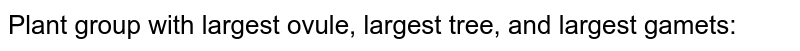 Plant group with largest ovule, largest tree, and largest gamets: