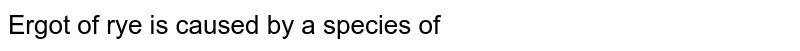 Ergot of rye is caused by a species of