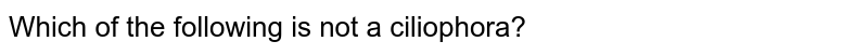 Which of the following is not a ciliophora?
