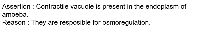 Assertion : Contractile vacuole is present in the endoplasm of amoeba. Reason : They are resposible for osmoregulation.