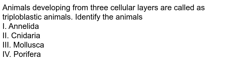 Animals developing from three cellular layers are called as triploblastic animals. Identify the animals I. Annelida II. Cnidaria III. Mollusca IV. Porifera