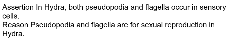 Assertion In Hydra, both pseudopodia and flagella occur in sensory cells. Reason Pseudopodia and flagella are for sexual reproduction in Hydra.