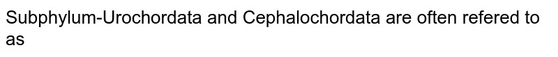 Subphylum-Urochordata and Cephalochordata are often refered to as