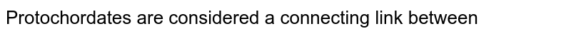 Protochordates are considered a connecting link between