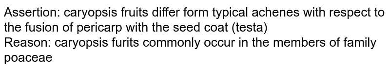 Assertion: caryopsis fruits differ form typical achenes with respect to the fusion of pericarp with the seed coat (testa) Reason: caryopsis furits commonly occur in the members of family poaceae