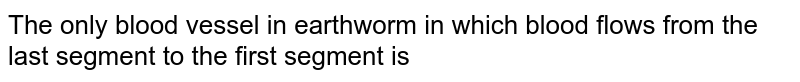 The only blood vessel in earthworm in which blood flows from the last segment to the first segment is