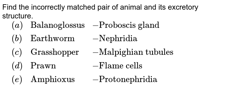 Find the incorrectly matched pair of animal and its excretory structure. {:(,(a),"Balanoglossus",-"Proboscis gland"),(,(b),"Earthworm",-"Nephridia"),(,(c),"Grasshopper",-"Malpighian tubules"),(,(d),"Prawn",-"Flame cells"),(,(e),"Amphioxus",-"Protonephridia"):}