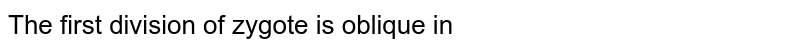 The first division of zygote is oblique in