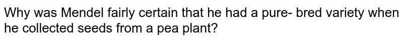 Why was Mendel fairly certain that he had a pure- bred variety when he collected seeds from a pea plant?