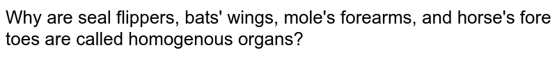 Why are seal flippers, bats' wings, mole's forearms, and horse's fore toes are called homogenous organs?