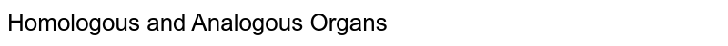 Homologous and Analogous Organs