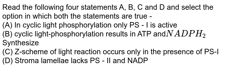 Read the following four statements A, B, C and D and select the option in which both the statements are true - (A) In cyclic light phosphorylation only PS - I is active (B) cyclic light-phosphorylation results in ATP and NADPH _(2 ) Synthesize (C) Z-scheme of light reaction occurs only in the presence of PS-I (D) Stroma lamellae lacks PS - II and NADP