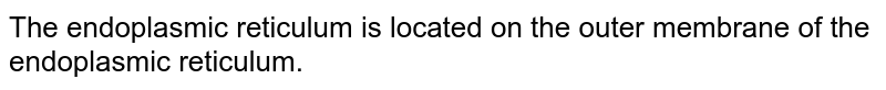The endoplasmic reticulum is located on the outer membrane of the endoplasmic reticulum.