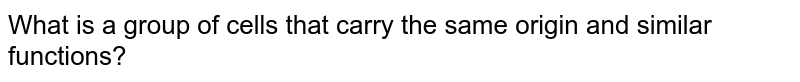 What is a group of cells that carry the same origin and similar functions?