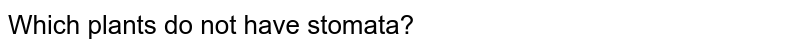Which plants do not have stomata?