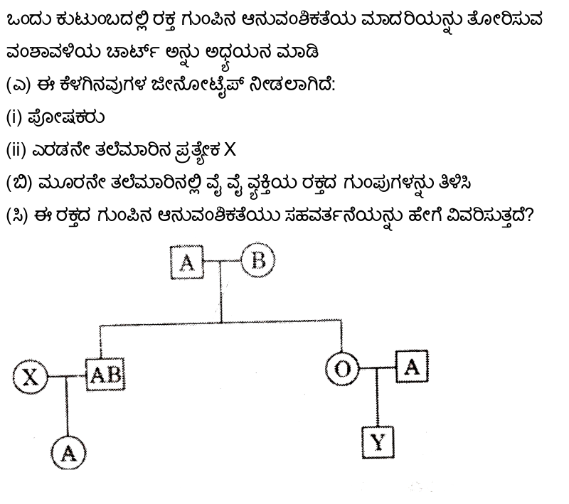 Study The Given Pedigree Chart Showing The Pattern Of Blood Group  Inheritance In A Family (A) Given The Genotype Of The Following: (I)Parents  (Ii) The Individual �X� In Second Generation (B) State Study The Given Pedigree Chart Showing The Pattern Of Blood Group  Inheritance In A Family (A) Given The Genotype Of The Following: (I)Parents  (Ii) The Individual �X� In Second Generation (B) State