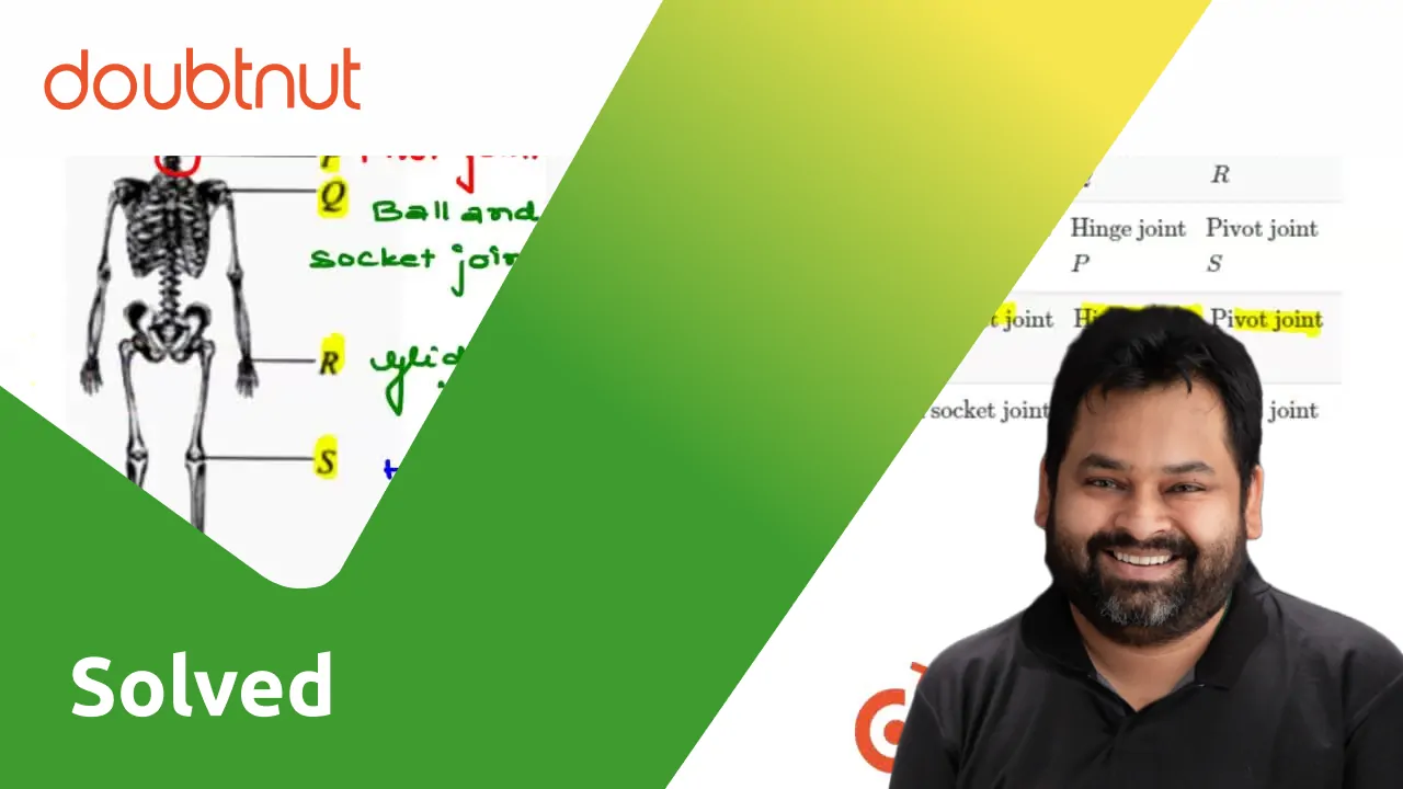 Gliding joint", "Ball and socket joint", "Hinge joint", "Pivot joi