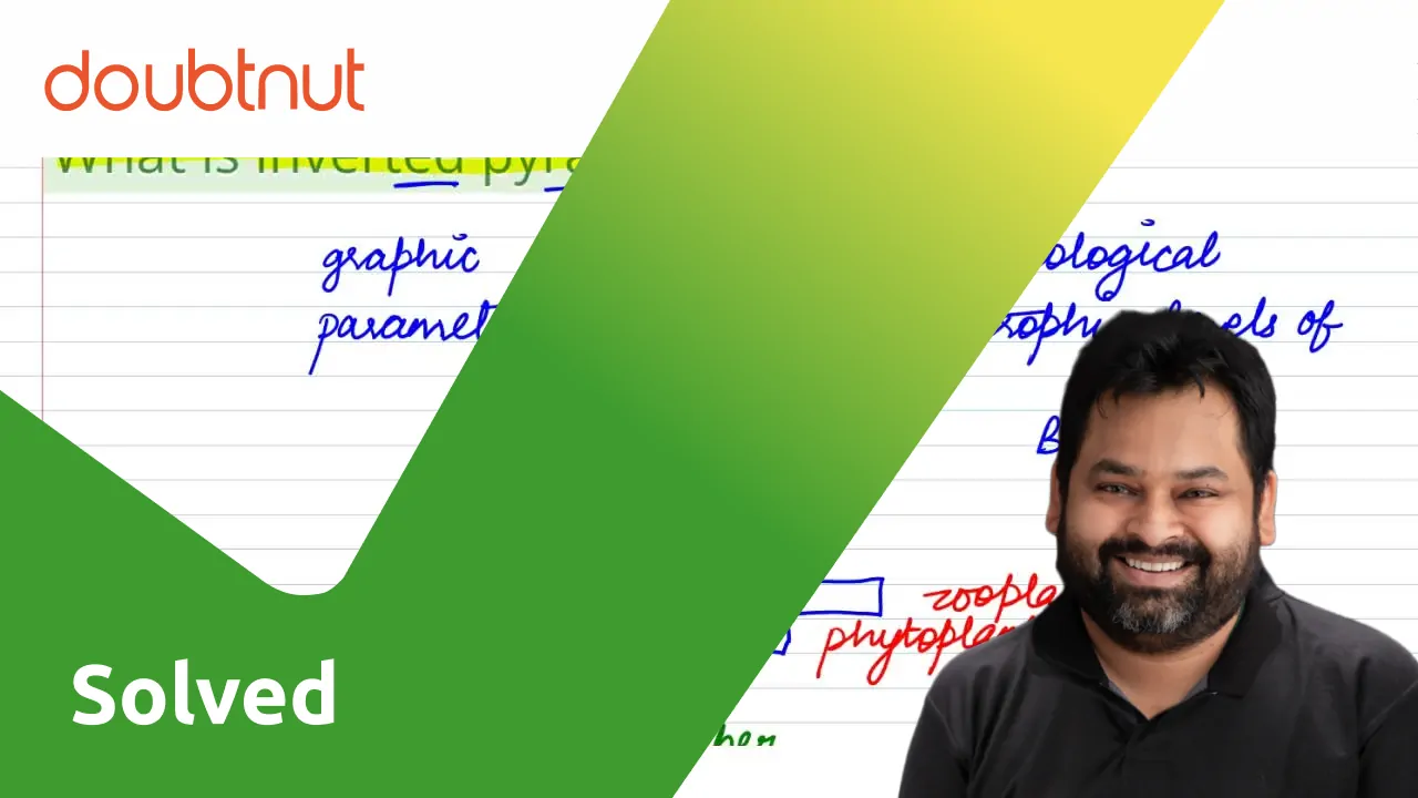 Punjabi What Is Inverted Pyramid Explain