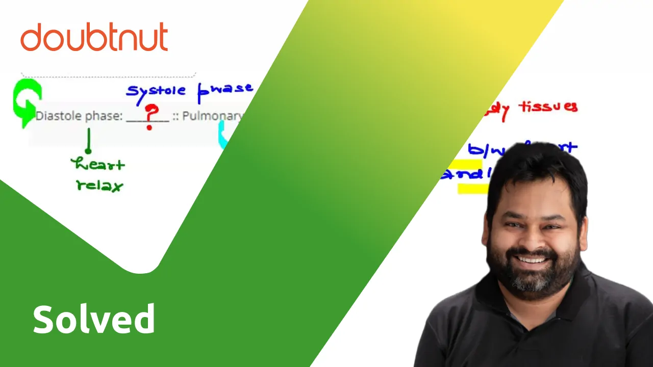 diastole-phase-pulmonary-circuit-systematic-circuit